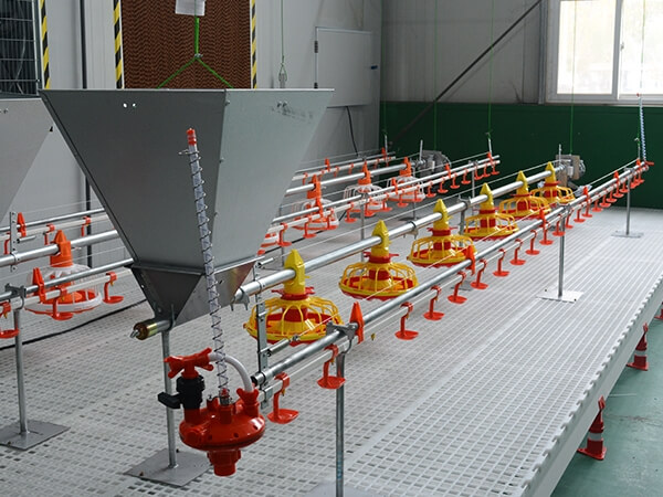 Automatic Broiler Feeding & Drinking Line System