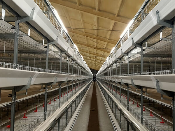 H-type Broiler Chicken Battery Cage 